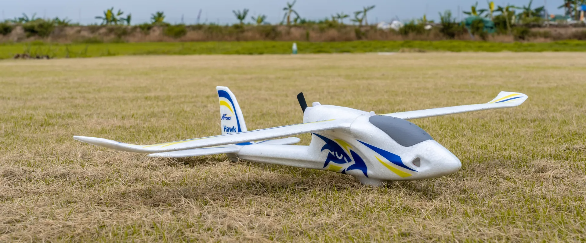 Arrows Hawkeye 600mm RTF-HOBBY ZONE
