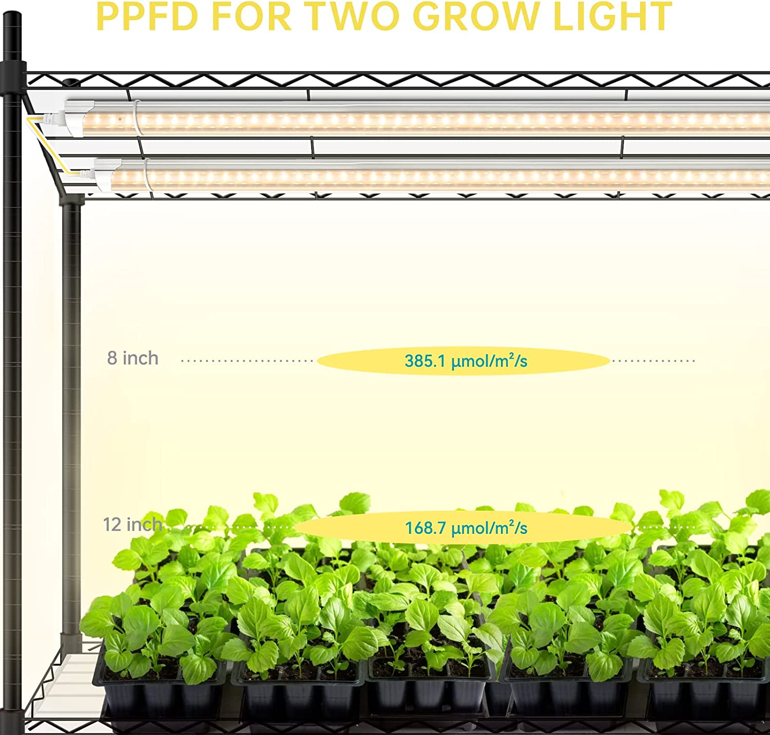 Bstrip DIY Plant Shelf with Grow Light, Grow Light Shelf with Adjustable Rack and Wheels, 8-Pack 192W T8 Full Spectrum Grow Lights for Seed Starting, Arbitrarily Assembled Plant Stand