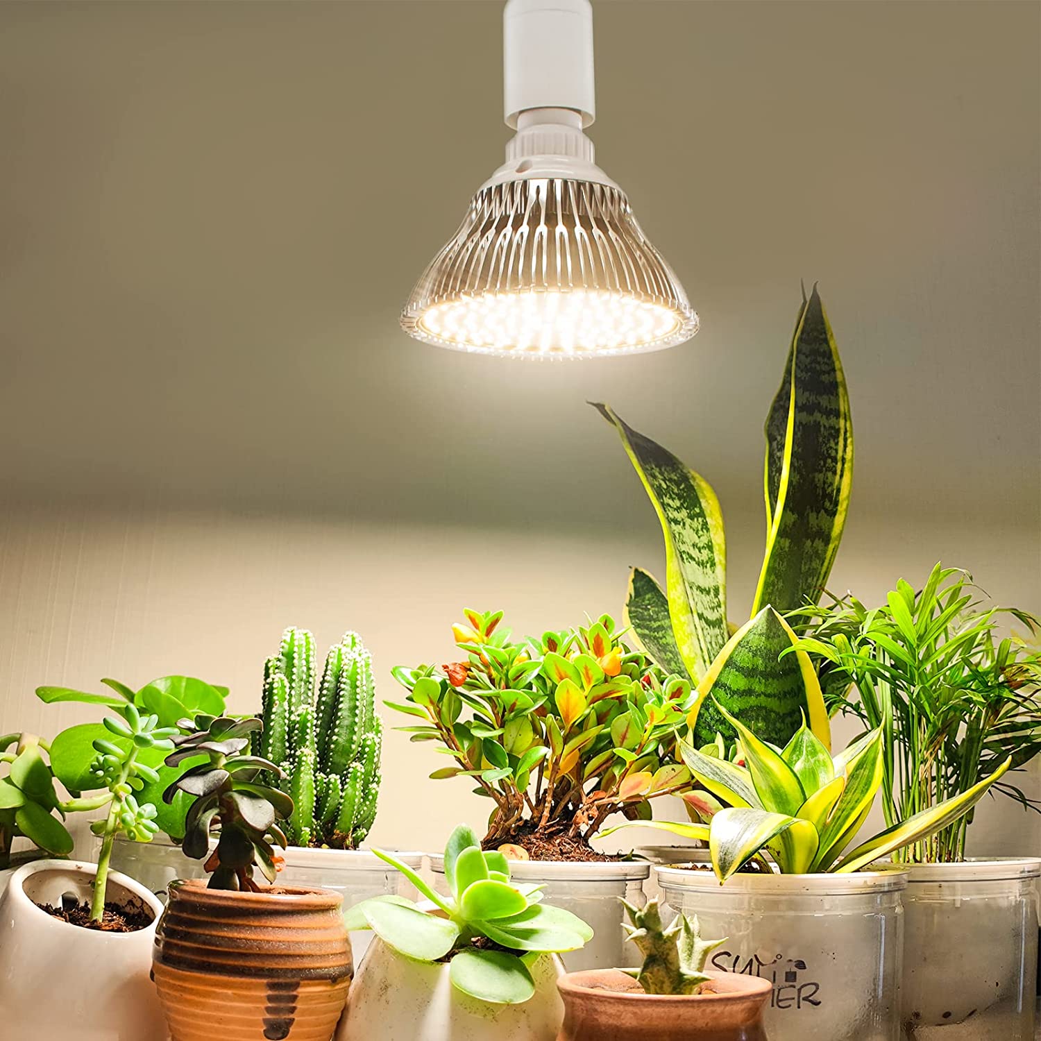 Bstrip LED Grow Light Bulb for Indoor Plants with Hanging System, 25W Full Spectrum, Plant Light Bulbs with 16.4FT Power Cord, Pendant Grow Lights for Indoor Plants, Flowers, Garden, Greenhouse