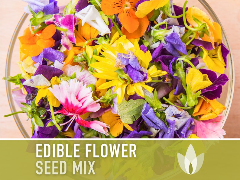 Edible Flower Heirloom Seed Mix - Seed Packets, Flower Seeds, Herb Seeds, Non GMO, Open Pollinated