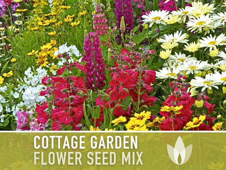 Cottage Garden Wildflower Seed Mix - Seed Packets, Heirloom Seeds, Flower Seeds, Non GMO, Open Pollinated, Antique Flowers