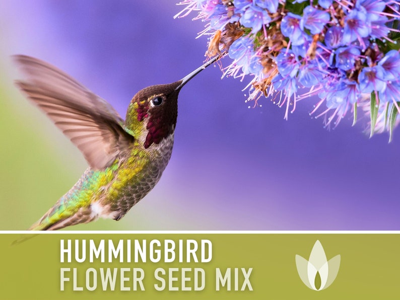 Hummingbird Garden Flower Mix Flower Seeds, Heirloom, Native, Flower Seeds