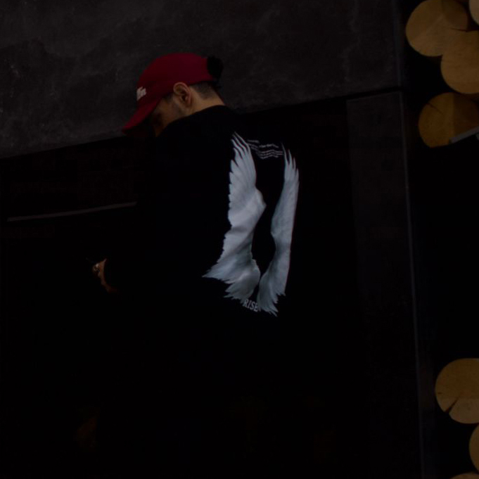  Cool Wings Print Crewneck Sweatshirt-Ranbybox