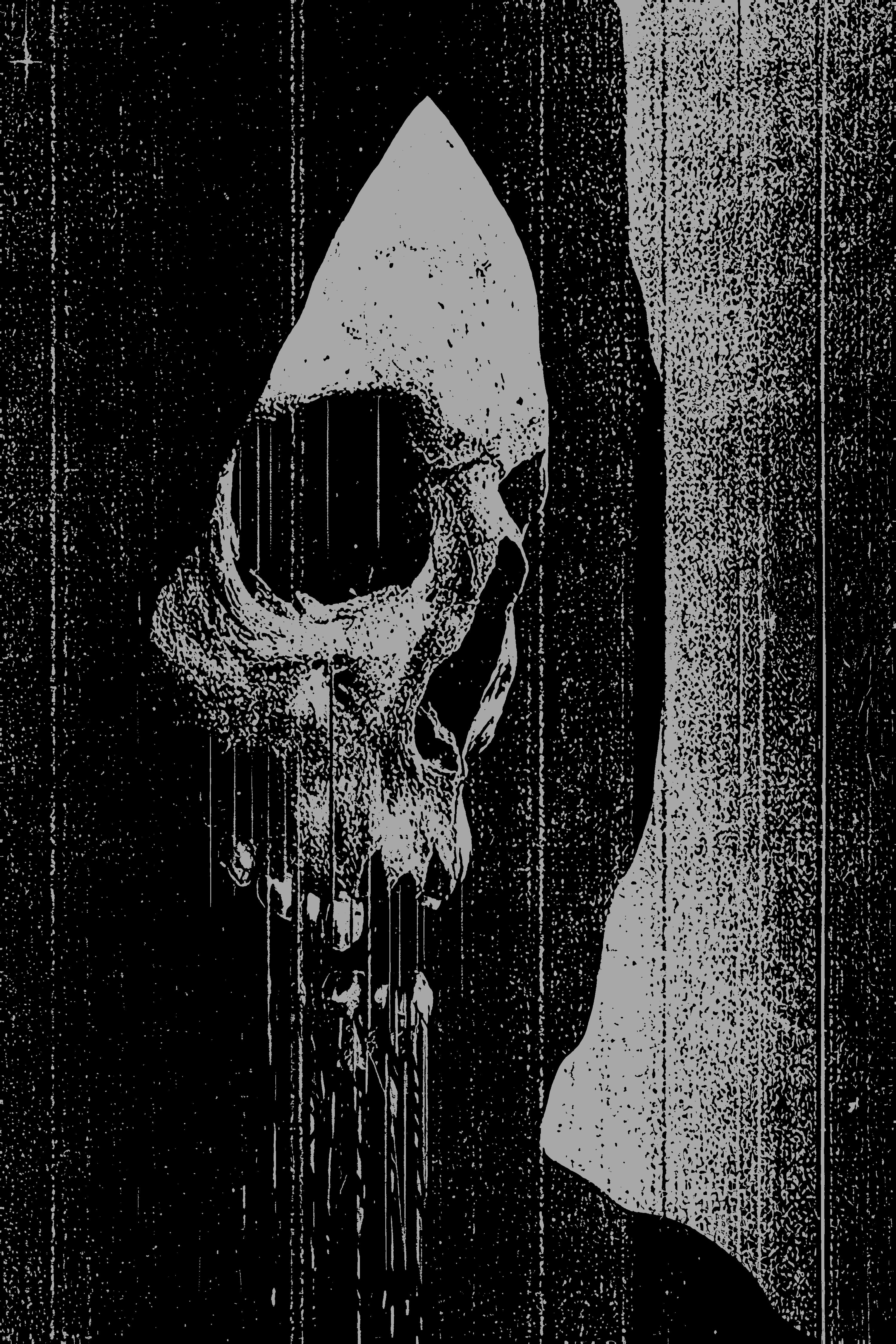  Mysterious skull print designer basic t-shirt-Ranbybox