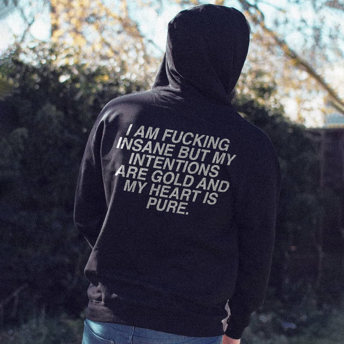  I Am Fucking Insane But My Intentions Men's Hoodie-Ranbybox