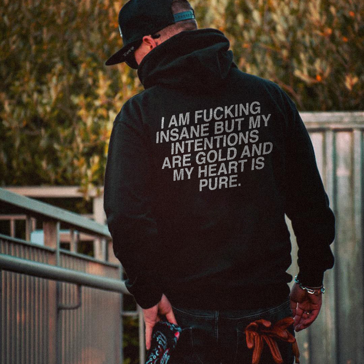  I Am Fucking Insane But My Intentions Men's Hoodie-Ranbybox