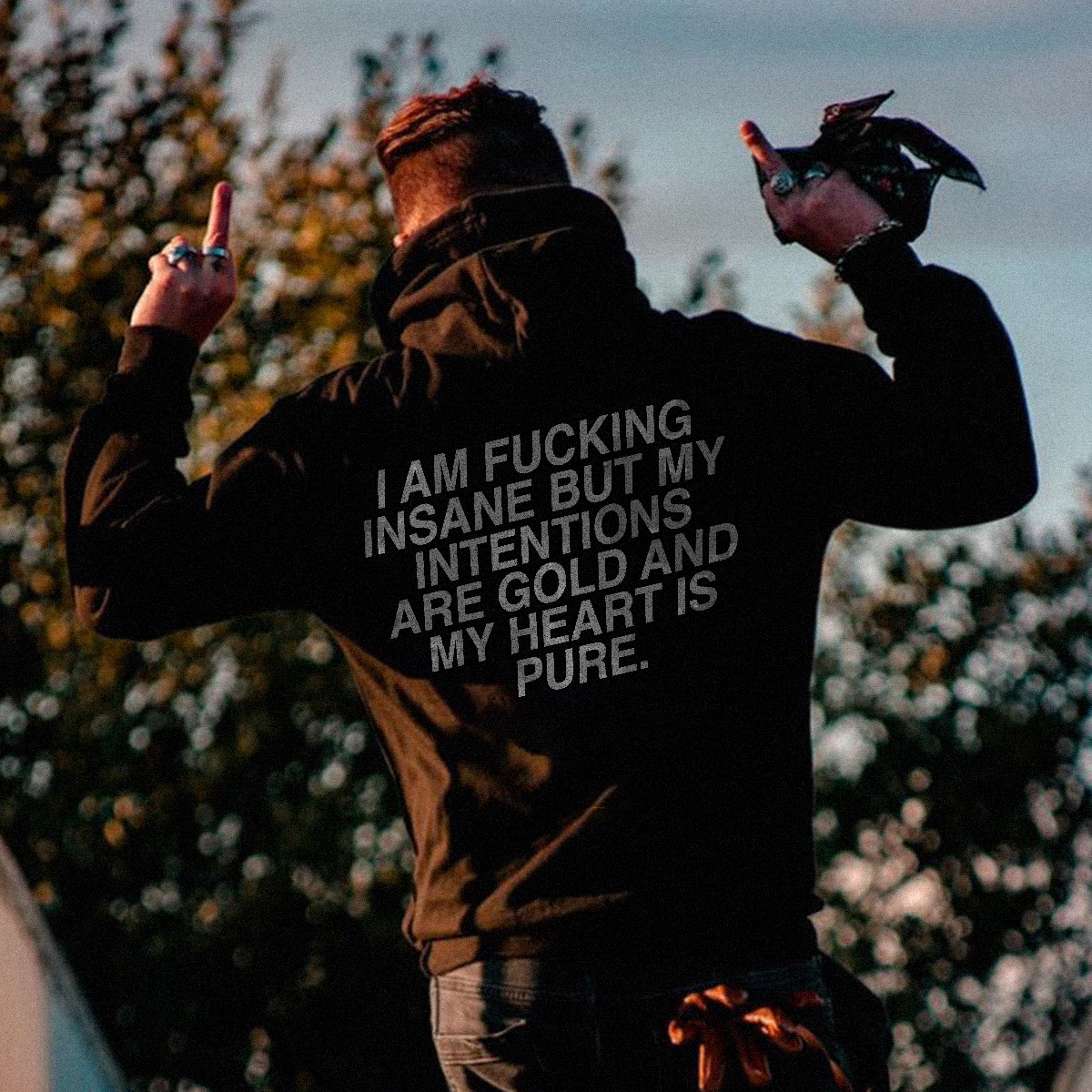  I Am Fucking Insane But My Intentions Men's Hoodie-Ranbybox