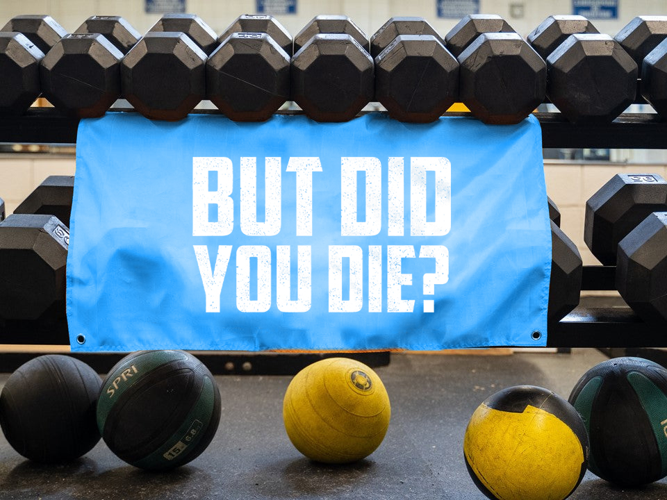 But Did You Die? Print Flags-traneing