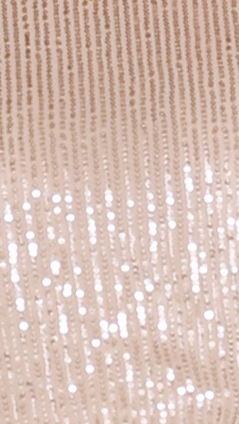 Bowie Maxi Dress - Silver/Nude Sequin-Sunshines Bliss