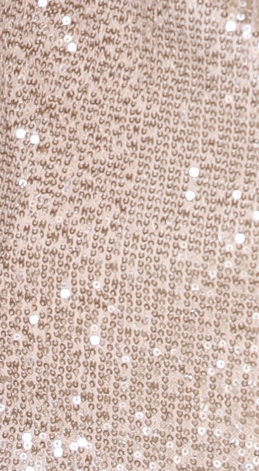 Cher Top - Silver/Nude Sequins-Sunshines Bliss