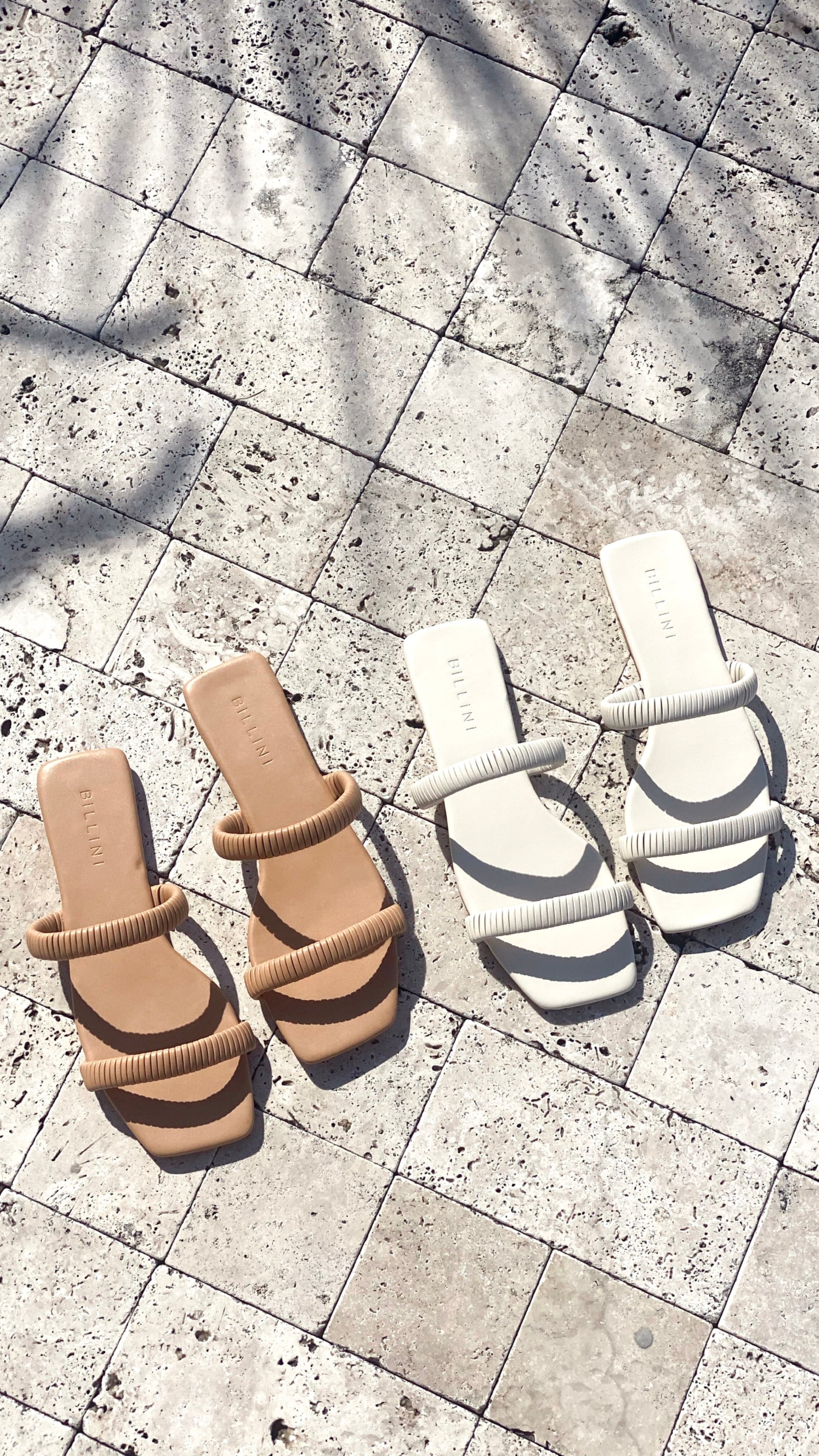 Fraley Slide - Bone-Sunshines Bliss