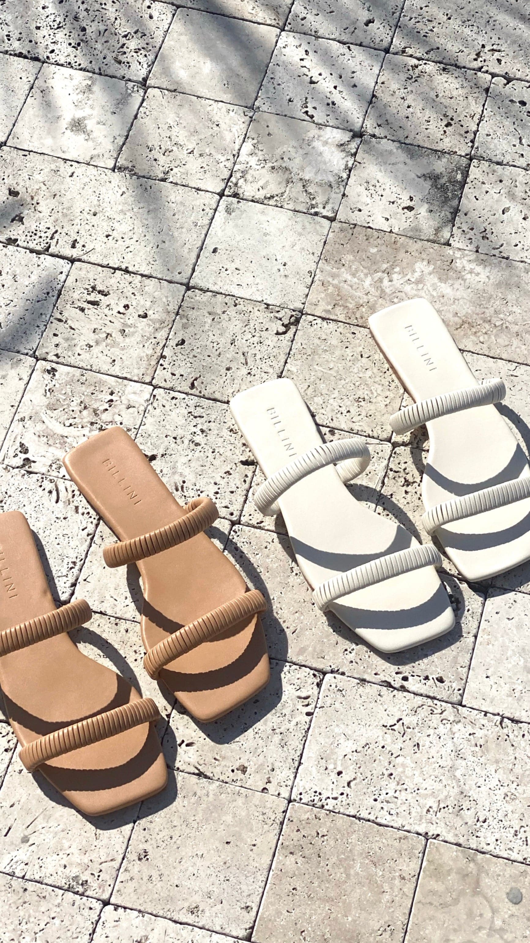 Fraley Slide - Bone-Sunshines Bliss