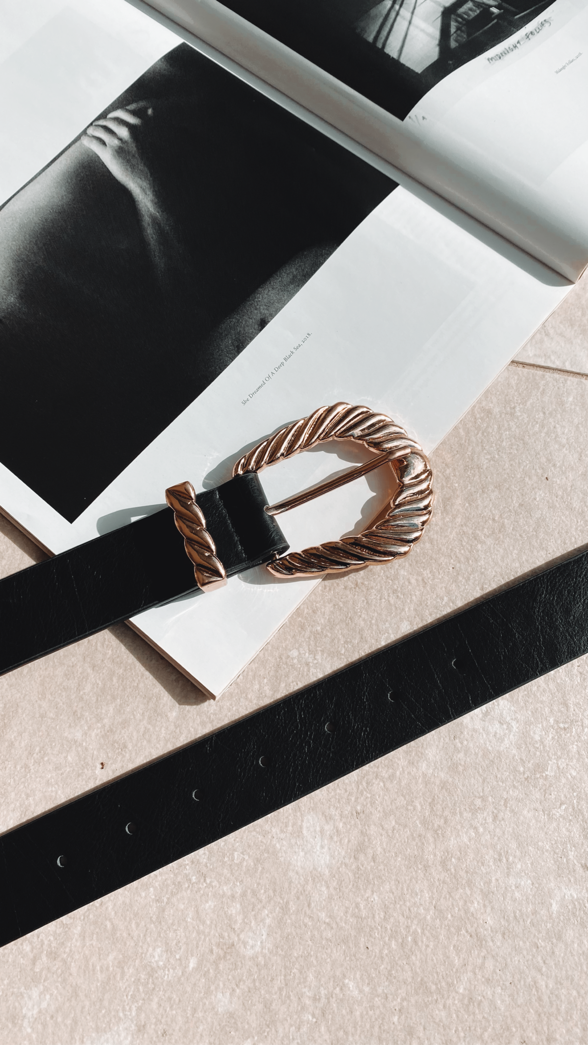 Amelie Twist Buckle Belt - Black/Gold-Sunshines Bliss