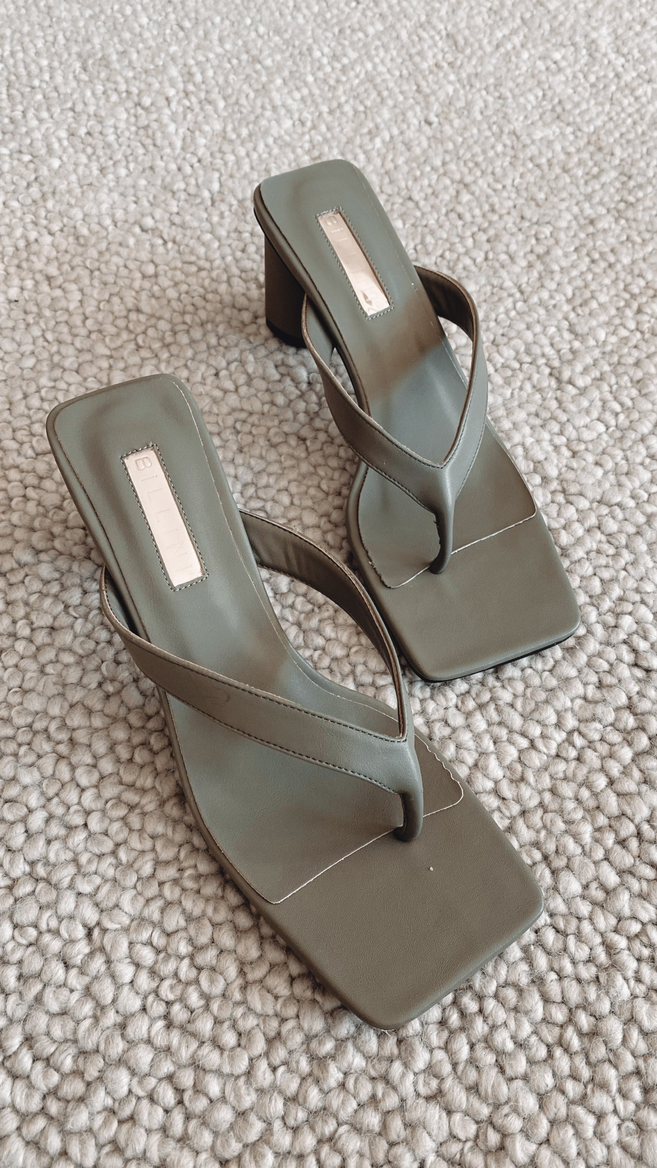 Willis Mule - Army-Sunshines Bliss