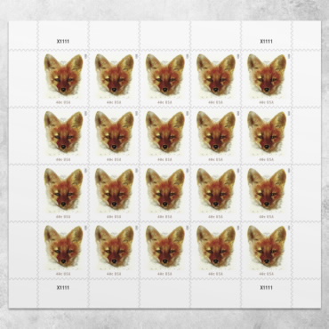 2023 Red Fox  First Class Postage Stamps