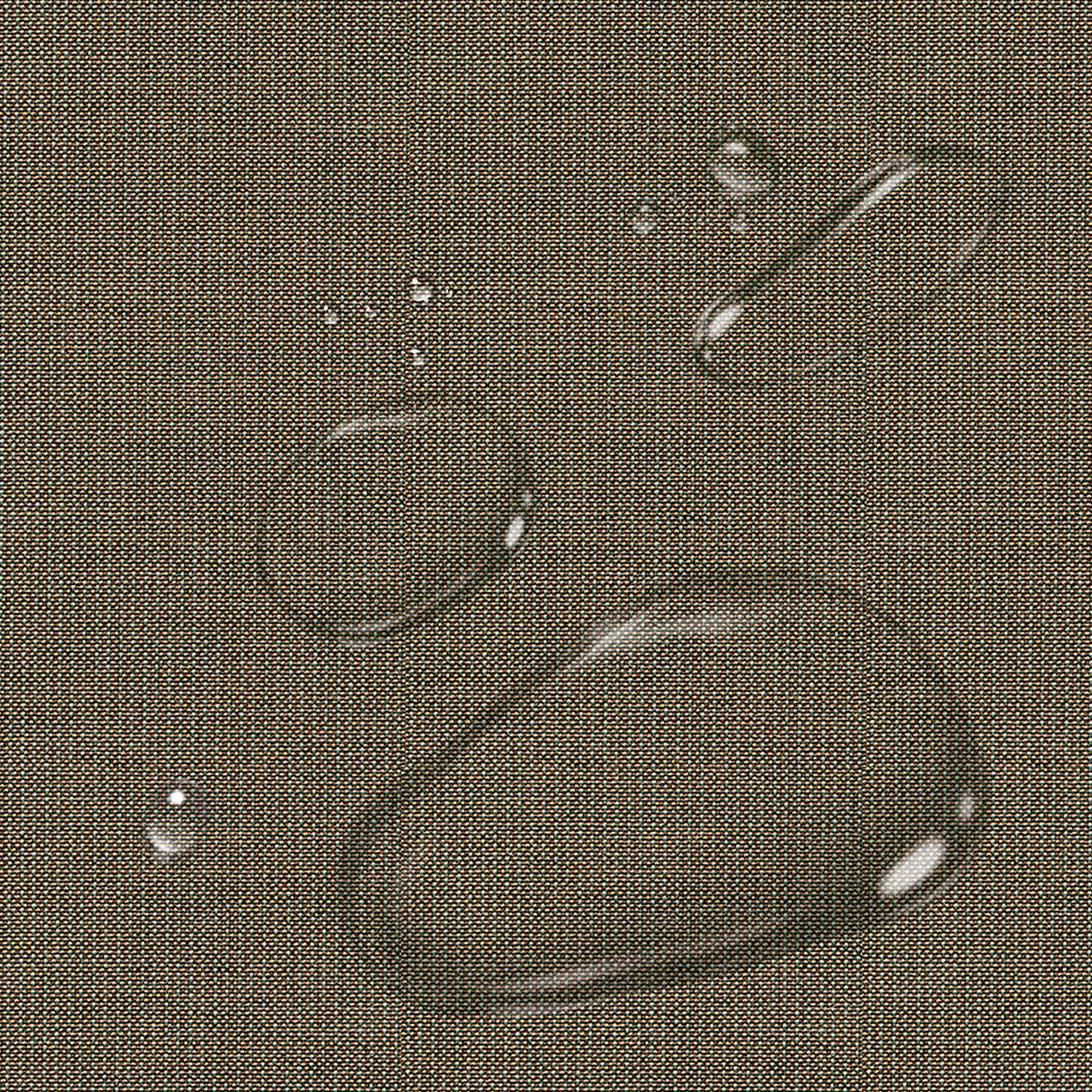 PENGI Outdoor Curtains Waterproof - Blend Sepia Tint