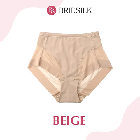 BrieSilk – High Waist Ice Silk Seamless Shaping Panties