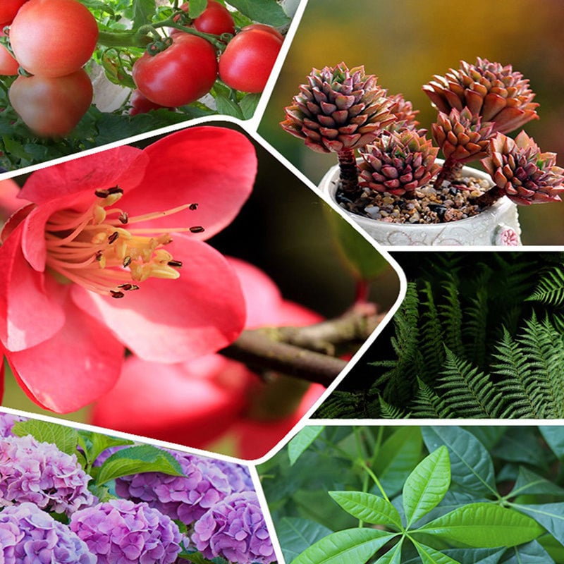 🔥Last Day Promotion 49% OFF - Home Gardening Universal Slow-Release Tablet Organic Fertilizer(22pcs)