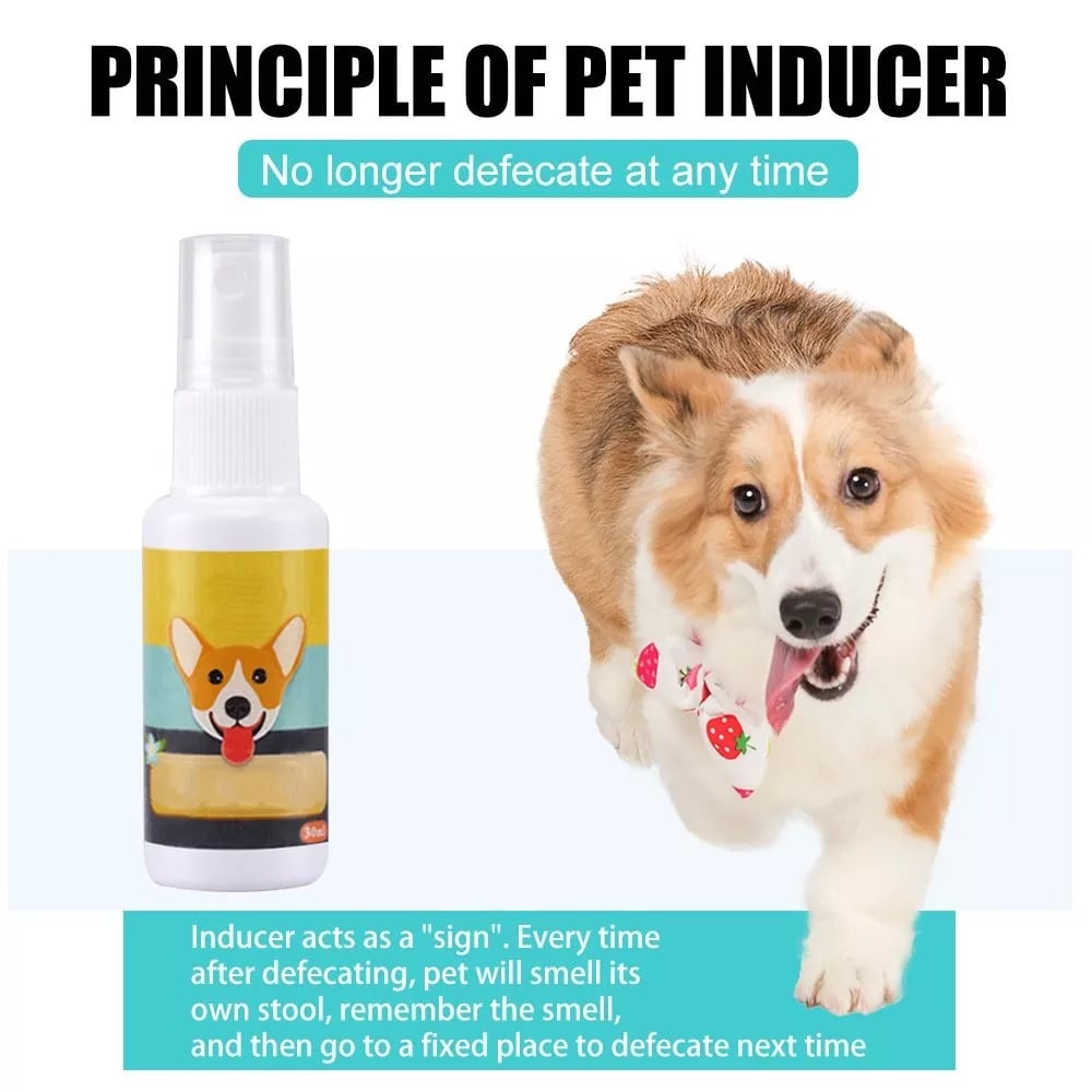 (⏰Blowout Sale)Pet Potty Here Training Spray