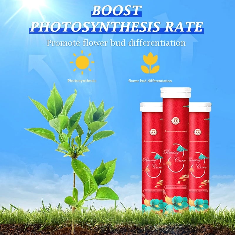 🔥Last Day Promotion 49% OFF - Home Gardening Universal Slow-Release Tablet Organic Fertilizer(22pcs)