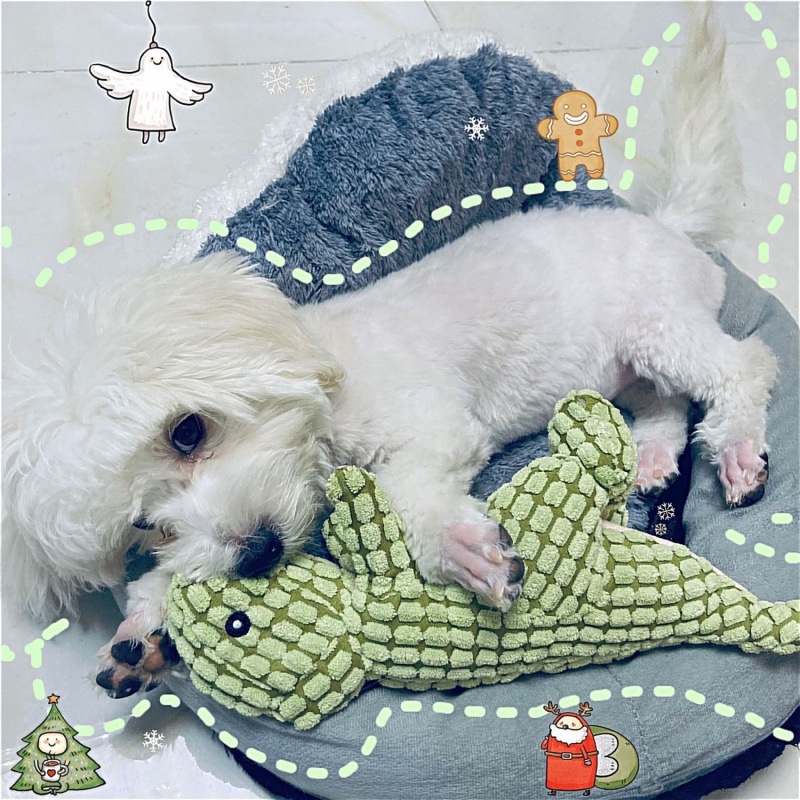 Buy 1 Get 1 Free Today Only - Indestructible Robust Dino