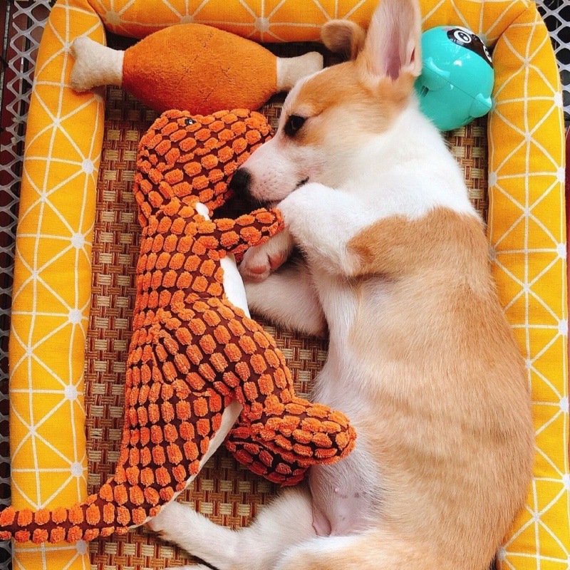 Buy 1 Get 1 Free Today Only - Indestructible Robust Dino