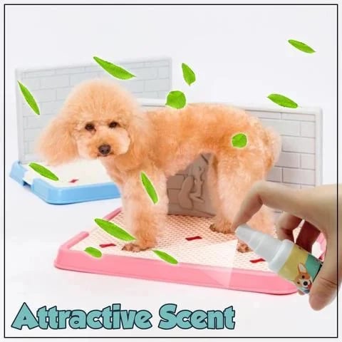 (⏰Blowout Sale)Pet Potty Here Training Spray