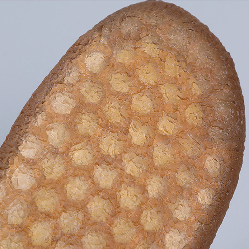 Ladies Summer Fish Mouth Soft Sole Slippers-ABOXUN