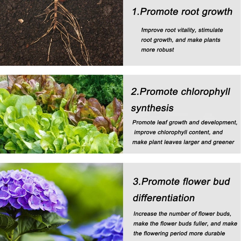 🔥Last Day Promotion 49% OFF - Home Gardening Universal Slow-Release Tablet Organic Fertilizer(22pcs)