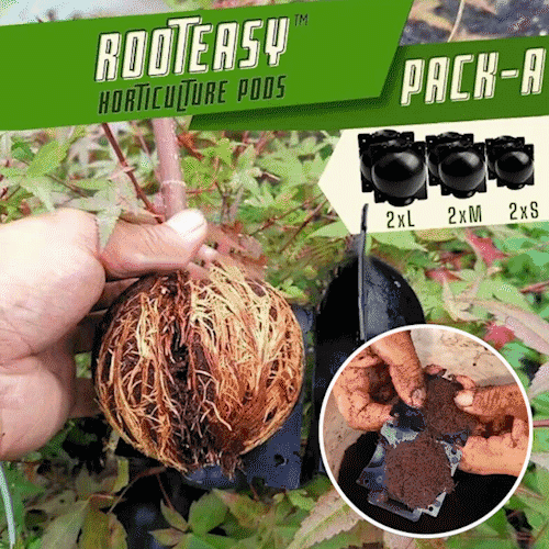 🎄Early Christmas Sale 50% OFF - RootEasy Plant Rooting Box Seeding Case