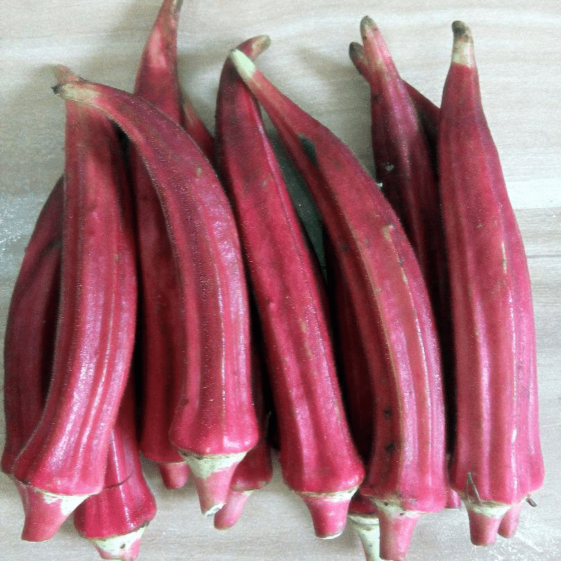 Okra/Red Okra High Yield Vegetable Seeds