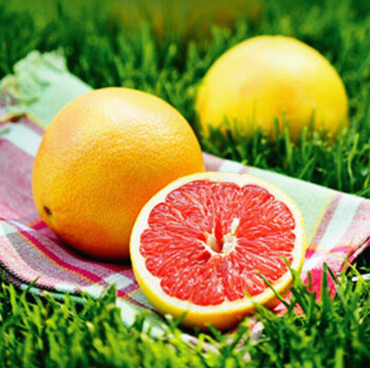 9 PCS VERY RARE LEMON SEEDS
