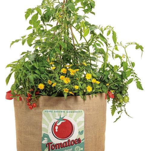 Tempting Tomatoes - Goodhearted