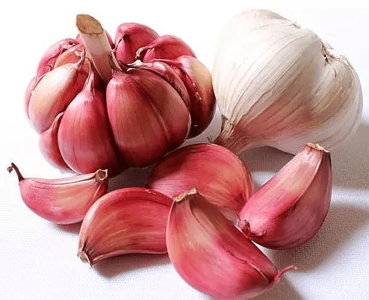 Red/Purple Garlic Seeds