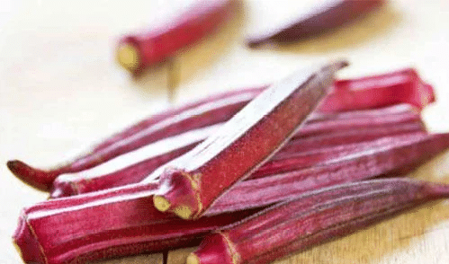 Okra/Red Okra High Yield Vegetable Seeds