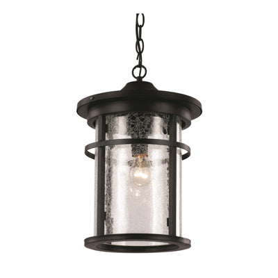 Trans Globe Lighting 40385 BK 13.75" Outdoor Black Transitional Hanging Lantern