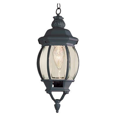 Trans Globe Lighting 4065 BK 20.5" Outdoor Black Traditional Hanging Lantern
