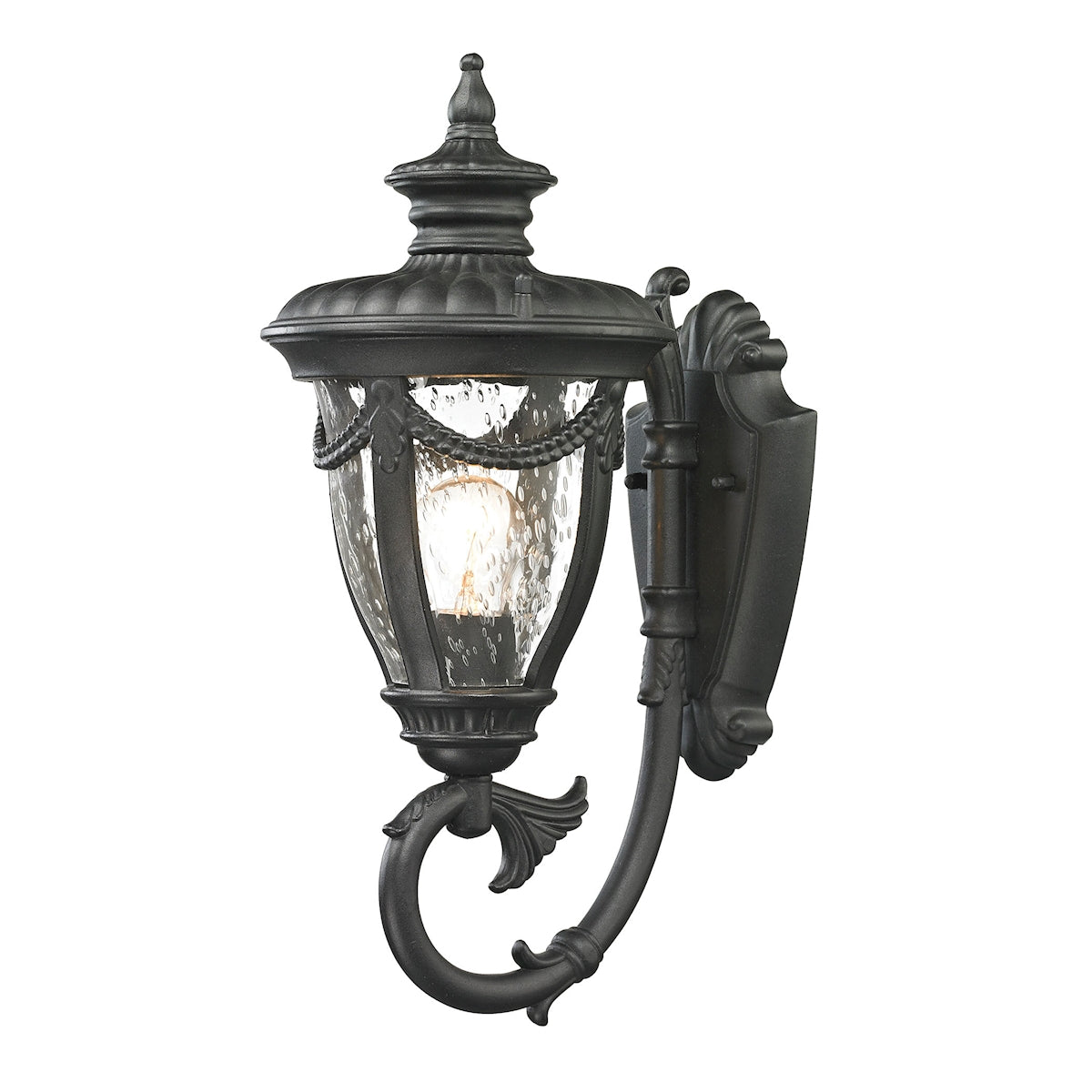 ELK Lighting 45075/1 Anise 1-Light Outdoor Wall Lamp in Textured Matte Black