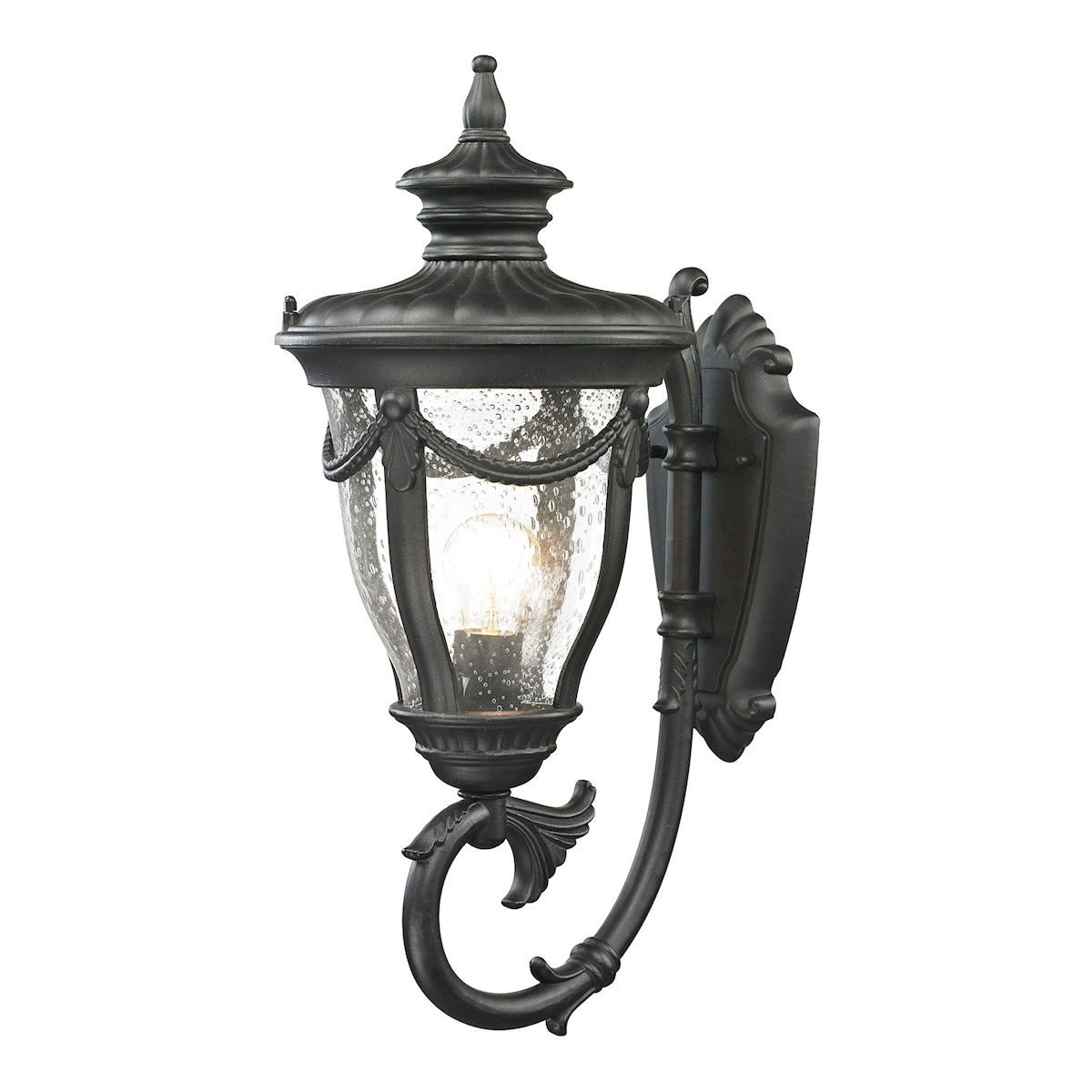 ELK Lighting 45076/1 Anise 1-Light Outdoor Wall Lamp in Textured Matte Black
