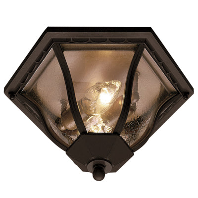 Trans Globe Lighting 4559 RT 8.5" Outdoor Rust Traditional Flushmount Lantern(Shown in BK Finish)