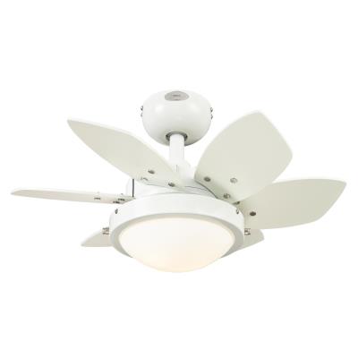 Westinghouse 722400 Quince LED 24-Inch Indoor Ceiling Fan with Dimmable LED Light FixtureWhite Finish with Reversible White/Beech Blades, Opal Frosted Glass