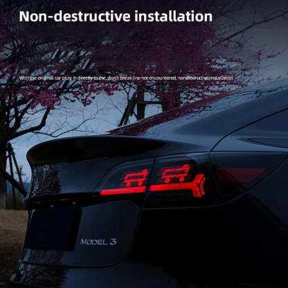 LED APP-Controlled Letter Tail Light for Tesla Model 3/Y 2017-2023-TESEVO