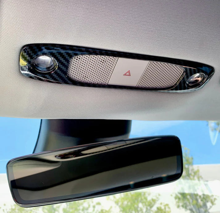 TESEVO Carbon Fiber Dome Light Covers for Model 3/Y-TESEVO