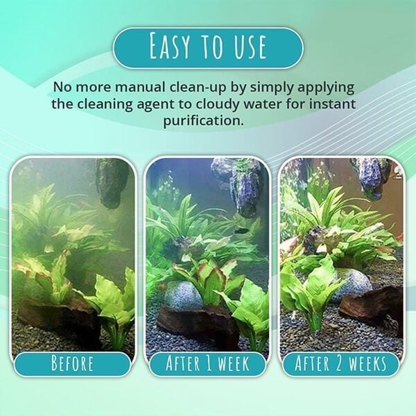 🔥Last Day 49% OFF - 🌺NEW Algae Repellent Agent