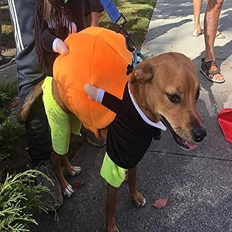 🔥Last Week 60% OFF🔥Dog Pumpkin Halloween Costume -🎁Buy 2 FREE SHIPPING