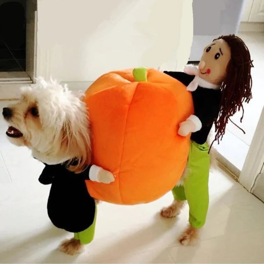 🔥Last Week 60% OFF🔥Dog Pumpkin Halloween Costume -🎁Buy 2 FREE SHIPPING