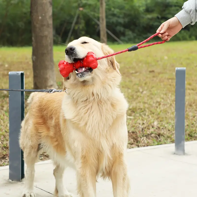 interactive dog toys for aggressive chewers puppies and active dogs with rubber teeth cleaning toy details 0