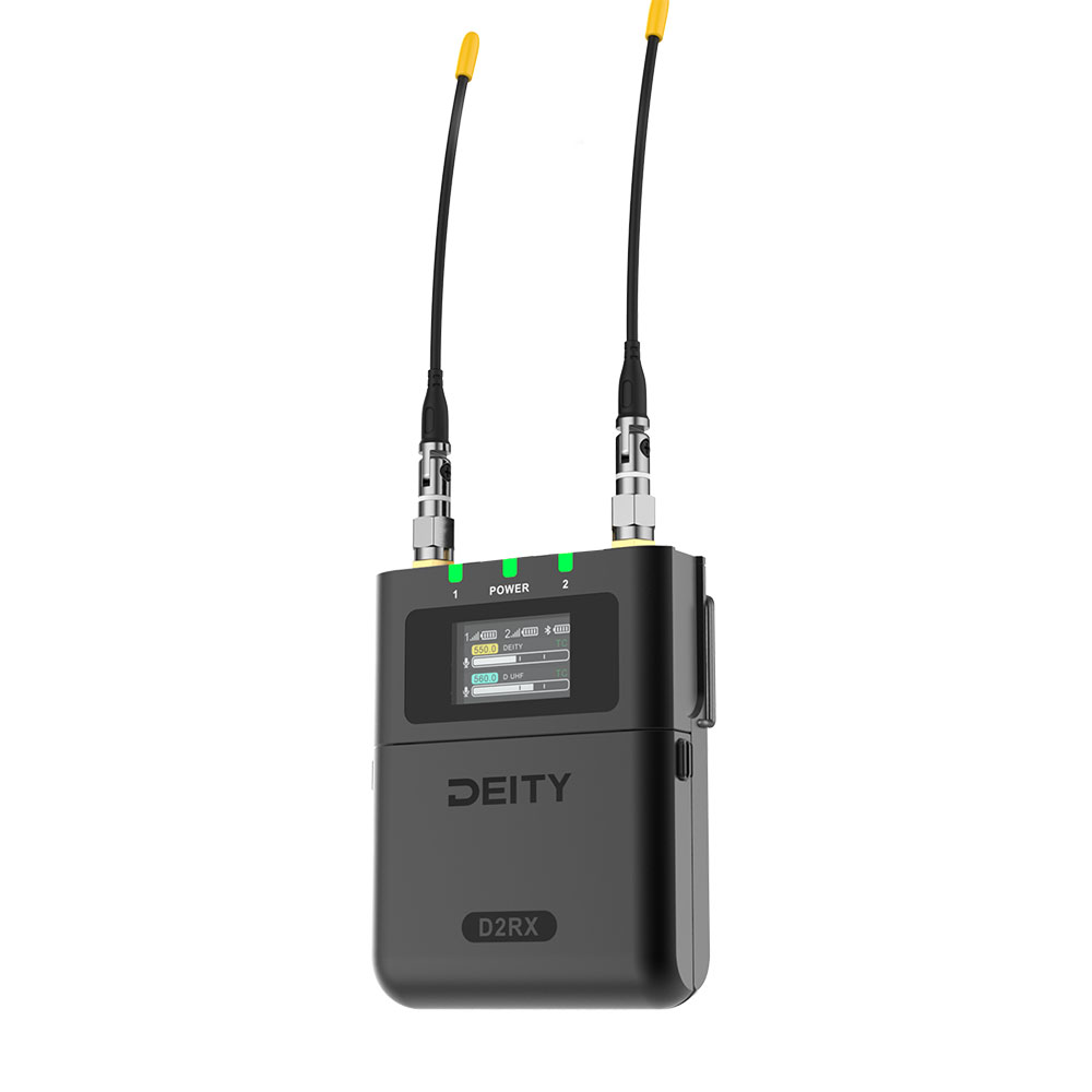 Deity Theos D2RX Dual-Channel Wireless Receiver-Pinknoise Systems