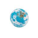 100g ocean