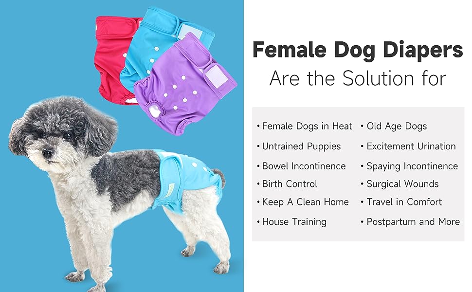 Dog nappies best sale for faecal incontinence